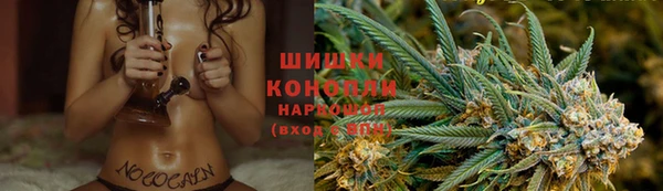 крисы Лагань