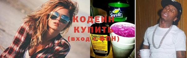 крисы Лагань