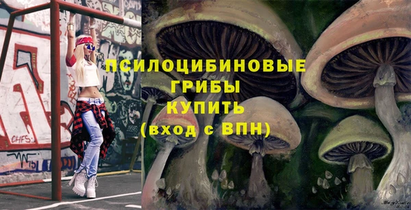 крисы Лагань