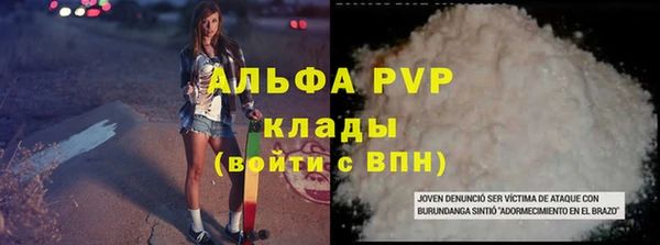 крисы Лагань