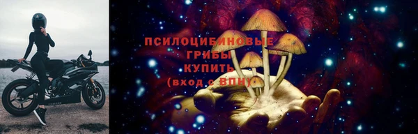 МДПВ Кукмор