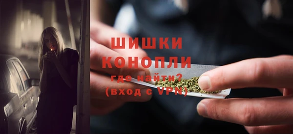 крисы Лагань