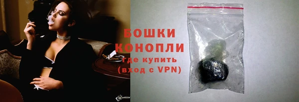 крисы Лагань