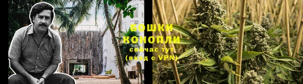 Альфа ПВП Лабытнанги