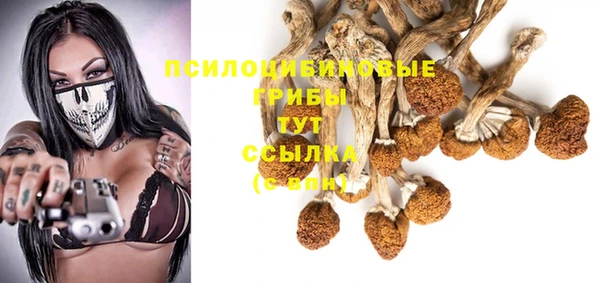соль ск Куйбышев