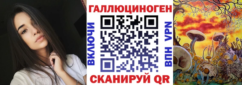 хочу наркоту Тайшет Псилоцибиновые грибы Psilocybe