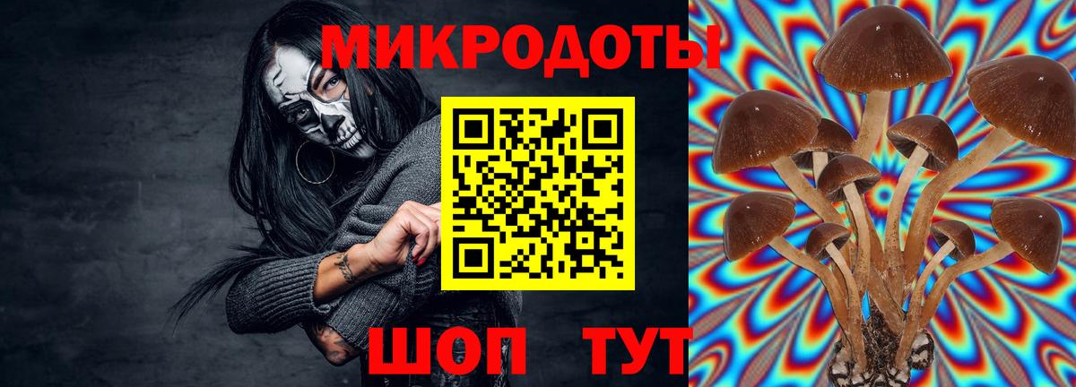 Псилоцибиновые грибы GOLDEN TEACHER Тайшет