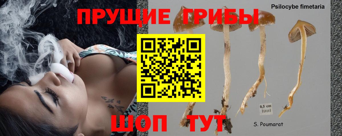 Галлюциногенные грибы Magic Shrooms  Псилоцибиновые грибы MAGIC MUSHROOMS  Тайшет 