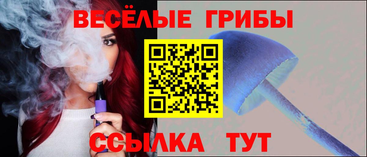 Псилоцибиновые грибы прущие грибы  где купить наркоту  Тайшет  Галлюциногенные грибы ЛСД  Вход с VPN 